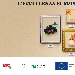 Eccellenza Europea - - - Fotografia inserita il giorno 06-12-2022 alle ore 23:50:35 da luigi