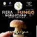 17, 18, 24 e 25 Settembre - Borgo Val di taro (PR) - Fiera del Fungo di Borgotaro I.G.P.