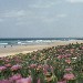 Spiaggia El Palmer de Vejer (Cadice) - Maribel (Siviglia)