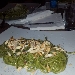 Spaghettone fresco in monferrina p 8, con pesto di basilico dop vesuviano, crumble di mandorle dolci U.S.A e fonduta di provolone del monaco - -