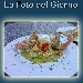 Spaghettoni agli scampi su vellutata di zucchine e datterino caramellato - - - Fotografia inserita il giorno 27-05-2022 alle ore 21:04:38 da luigi