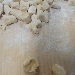 Tris di gnocchi senza glutine e lattosio al basilico e parmigiano - - - Fotografia inserita il giorno 19-01-2022 alle ore 12:01:15 da silvfelicolucci