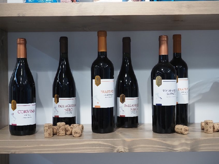 Enotrium: gli autoctoni di MD rivoluzionano la scelta a scaffale nel mondo del vino
