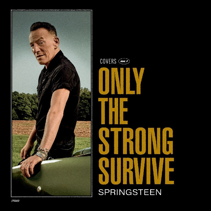 Cover di Only The Strong Survive - Bruce Springsteen