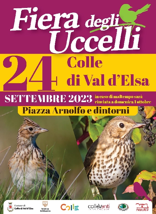 24/09 - Piazza Arnolfo - Colle Val d