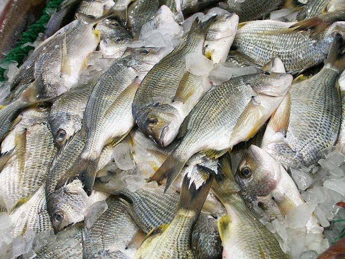 La campagna di Oceanus che mira ad accrescere la consapevolezza dei consumatori rispetto allacquisto di pesce. 

