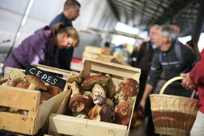 funghi selvatici (porcini) nei mercati - copyright : Mperreau