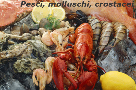 Pesci, molluschi, crostacei