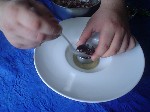 Montaggio: Polipo su passatina di ceci al rosmarino con granella di pane croccante - inserimento polipo