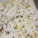 - Focaccia bianca al rosmarino - -