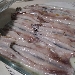-Alici marinate - -