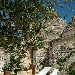 -Autunno in masseria - -