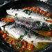 -Branzino all'acqua pazza  - -