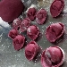 -Cappelletti alla rapa rossa  - -