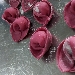 -Cappelletti alla rapa rossa  - -