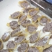 -Conchiglioni con rag� in bianco - -
