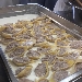 -Conchiglioni con rag� in bianco - -