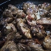-Coniglio alla cacciatora - -