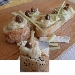 -Crostini con crema di porri e Brie - -