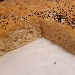 -Focaccia in crosta di semi  - -