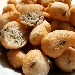 -Frittelle con salicornia o asparago di mare - -