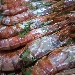 -Gamberi alla vernaccia di Oristano - -