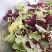 -Insalata capricciosa  - -