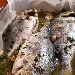-Orata al forno con olive taggiasche alla vernaccia - -