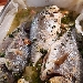 -Orata al forno con olive taggiasche alla vernaccia - -