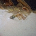 -Orecchiette con crema di carciofi spinosi  - -