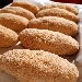 -Panzarotto - -