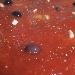 -Pizza integrale in teglia alla marinara con olive di Gaeta - -