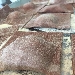 -Raviolo al cacao con ripieno di patate, pecorino e mentuccia sarda - -