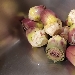 -Riso pilaf con carciofo spinoso sardo DOP  - -