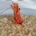 -Risotto - -