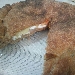 -Rond� di pizza integrale con ricotta e provola affumicata - -