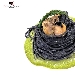 -Spaghetti al nero di seppia con crema di asparago selvatico sardo - -