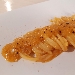 -Spaghetto quadrato con rag� di zucca - -