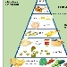 -piramide alimentare - -piramide alimentare