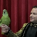 A FUORIGROTTA CON UNO SPETTACOLO SPECIALE PER ADULTI E BAMBINI

IL CIRCO SI RINNOVA CON NUOVE ATTRAZIONI NEL RISPETTO DEGLI ANIMALI - 