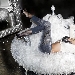 Al The Owl di Ercolano l'elogio della tavola tra lusso, cibo e mondanit�
 - Lo chef Ivano Picardi cuciner� per 100 selezionatissimi ospiti, tra cui:  Alessandro Cecchi Paone, Antonella Fiordelisi, Antonella Mosetti, Federico Fashion Style, Francesca Cipriani, Alma Manera,  Silvio Smeraglia e  Valeria Marini 