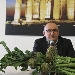 Al via la campagna promozionale 2022 del Carciofo di Paestum IGP - -