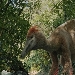 ArcheocineMANN, conclusa la rassegna del cinema archeologico, vincitori i film sui dinosauri e su Baia, citt� sommersa, ottima la partecipazione delle scuole 
 - Il mondo dei dinosauri e le meraviglie sommerse di Baia vincitori della terza edizione di archeocineMANN 
il 
