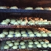 Bab in forno - -