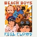 BeachBoys - cover FeelFlows - -