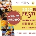 Beer Festival - -