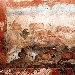 CONCLUSO IL RESTAURO dell'AFFRESCO della CASA DEI CEII
 - TORNA AL SUO SPLENDORE IL GRANDE AFFRESCO DEL GIARDINO DELLA CASA DEI CEII AL TERMINE DEL RESTAURO