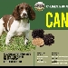 Cani e Tartufi - -