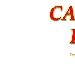 Catanzaro in Festa - -