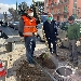 Comune Napoli, riforestazione: nuova tappa a Fuorigrotta. Santagada: Napoli diventer� polmone verde. - Comune Napoli, riforestazione urbana: completata in tempi record via Giulio Cesare. Si apre ora il cantiere di via Diocleziano e Kennedy

Assessore Santagada: Napoli sar� polmone verde della Campania. Questa amministrazione pensa al decoro urbano e alla salute pubblica della citt� in tempi celeri.